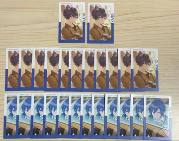 KAITO 에피카 21c 금박