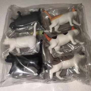 풀 컴프 캡슐 컬렉션 걷는 고양이 2