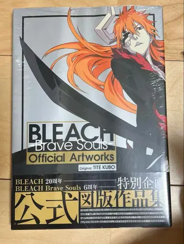 새상품 브레이브 솔 공식 한정판 일러스트 작품집