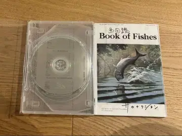 사카낙션 어도감 2CD Blu-ray 초회 생산 한정판