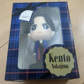 Kento Nakajima 피규어 체크 무늬