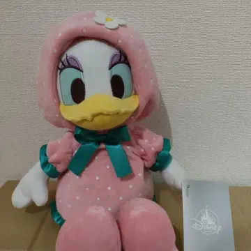 데이지 딸기 봉제 인형