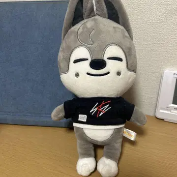 Skzoo 방찬