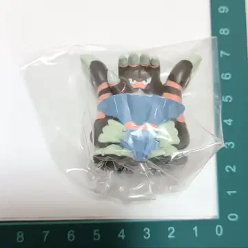 가메노데스 포켓몬 키즈