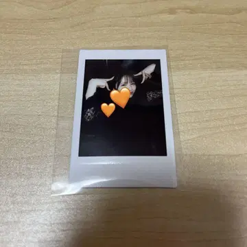 후르츠 지퍼 마나카 마나 생탄제 진제이 폴라로이드 고양이 귀