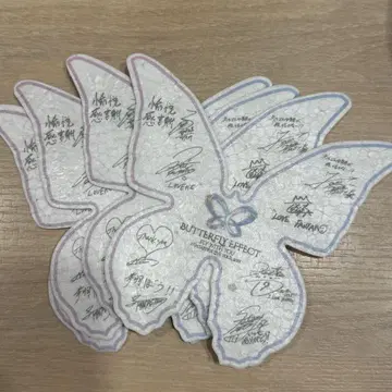 FANTASTIC Butterfly effect 낙하물