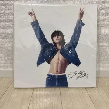 국 캔버스 패널
