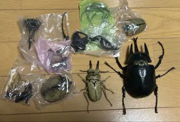 생물대도감 어드밴스 헤라클레스 액티온 오우곤오니쿠와가타