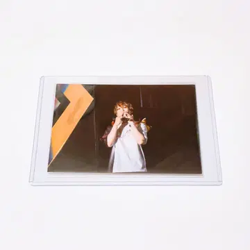 우라시마사카타센 센라 Plusss DVD 혜택 브로마이드 포토 카드