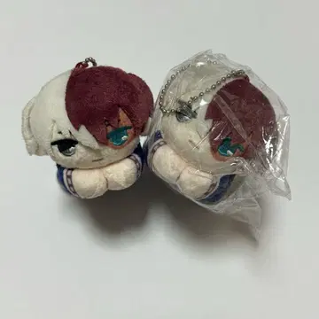 나의 히어로 아카데미아 히로아카 하구캐릭터 토도로키 쇼토