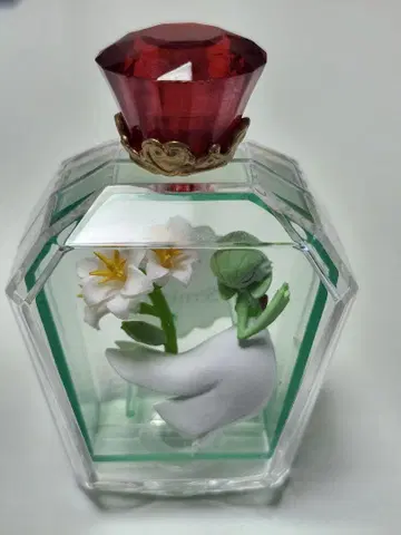 포켓몬스터 PETITE FLEUR trois 서나이트