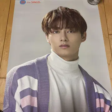 theSAEM 포스터 세부치 세븐틴 준