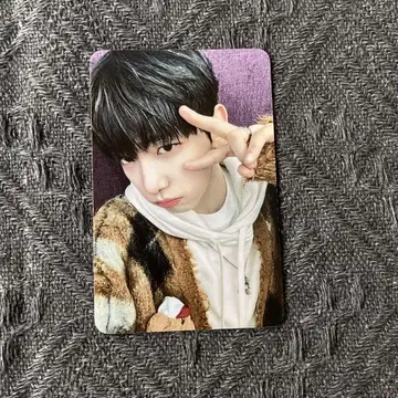 한국 BOYNEXTDOOR 재현 인기 가요 보넥도 트레이딩 카드