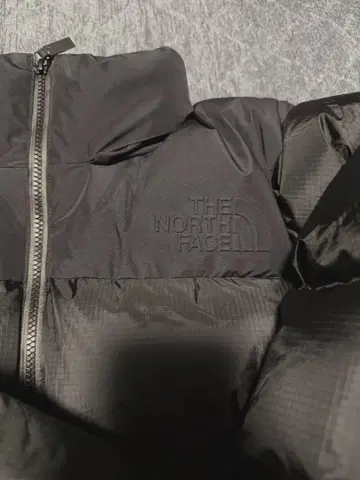 THE NORTH FACE 블랙 다운 자켓