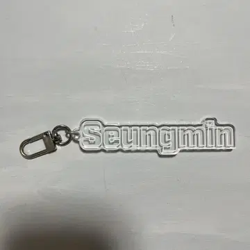Seungmin 아크릴 키링