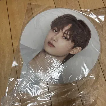 세븐틴 준 부채 incomplete