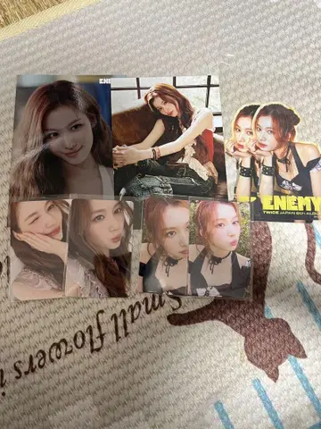 트와이스 사나.