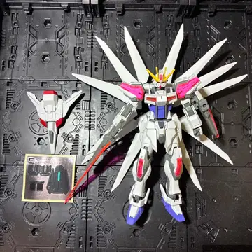 EG 빌드 스트라이크 엑시드 갤럭시 + 갤럭시 부스터