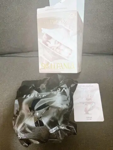 POPMART SKULPANDA 더 패러독스 시리즈