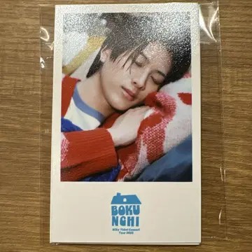 BOKUNCHI 2025 잘자 폴라로이드
