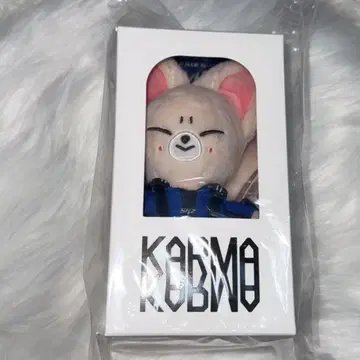 스키즈 KARMA 폭시니