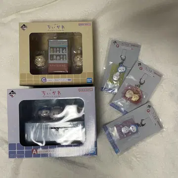 치이카와 제일복권