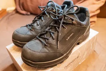 LOWA RENEGADE GTX LO Wide 블랙 28.5cm