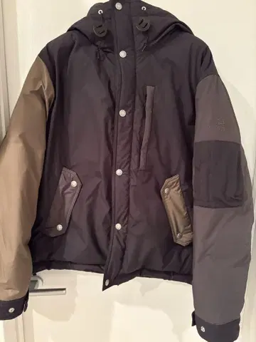 THE NORTH FACE PURPLE LABEL 마운틴 숏 다운