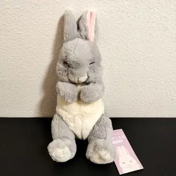 무릎 토끼 쌔근쌔근 그레이 GY