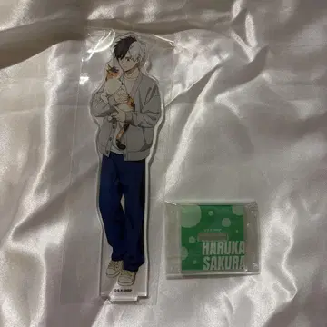 WIND BREAKER 윈브레 벚꽃 하루 마네키네코 아크릴 스탠드