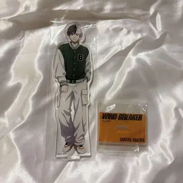 WIND BREAKER 아크릴 스탠드 사쿠라 하루카