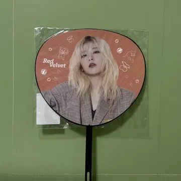 red velvet red mare 부채 슬기 seulgi