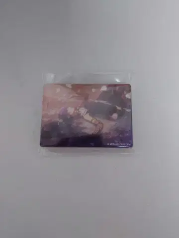 프로세카 아사히나 마후유 카네리코 Vol.17 노블 아트