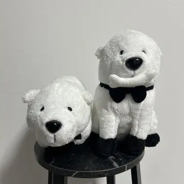 스파이 패밀리 본드 봉제 인형 2세트