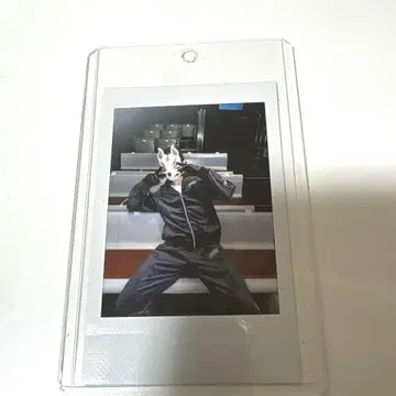 O-MENZ [ 여우 씨 ] 폴라로이드
