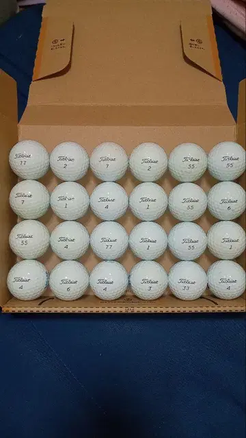 타이틀리스트 PROv1 로스트볼 24개