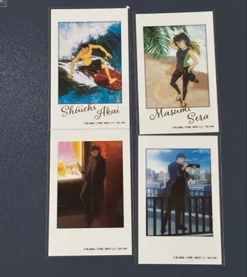 명탐정 코난 TOMS 메모리얼 컬렉션 미니 포토 카드 아카이 세라