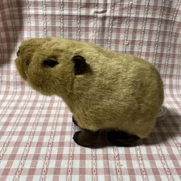 봉제 인형 카피바라
