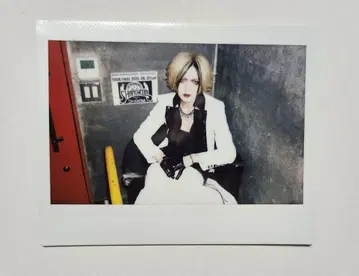 DIAURA 요-카 빅 폴라로이드