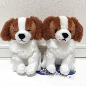 코이케르혼디에의 오데코짱 앉아 봉제 인형 ST 2종 세트