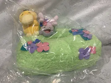 코닥은 태평 티슈 케이스