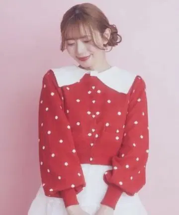 Areeam 미니 가디건