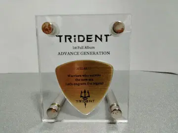 TRiDENT / ADVANCE GENERATION [피크형 엠블럼]