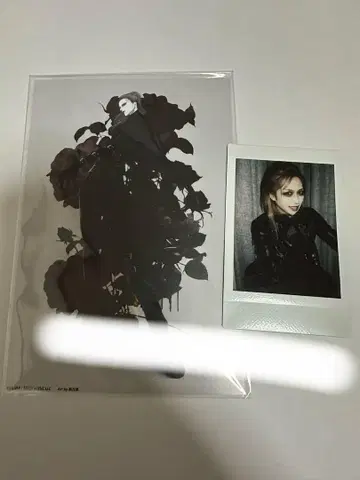 JILUKA Ricko 폴라로이드, 엽서