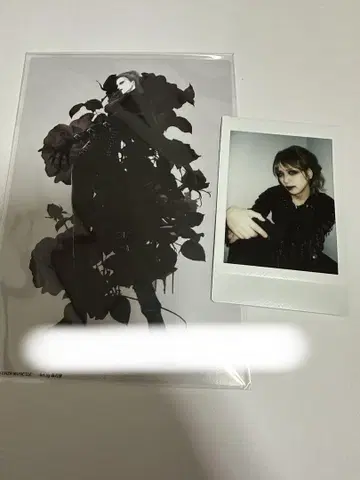 JILUKA Ricko 폴라로이드, 엽서