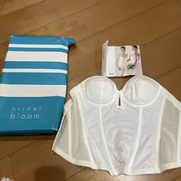브라이덜 블루 신부 뷔스티에 화이트