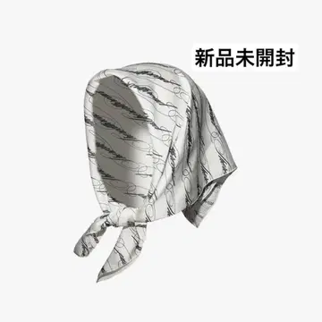 S signature script scarf