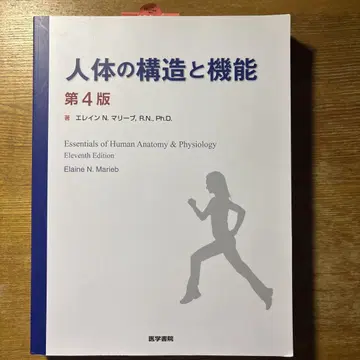 인체의 구조와 기능