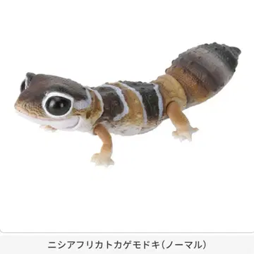 생물대도감 니시아프리카도마뱀붙이 (노멀)
