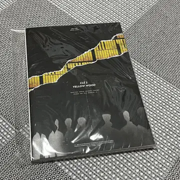 Straykids YELLOWWOOD 한정판 한 yellowwood